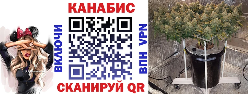 Бошки марихуана сатива  МЕГА зеркало  Алейск 